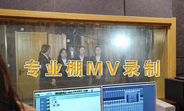 ӯƣ֣ݣʦ  MV¼㻨